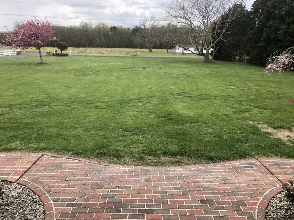 Professional landscape installation in Milton, DE - Aaron Senturk