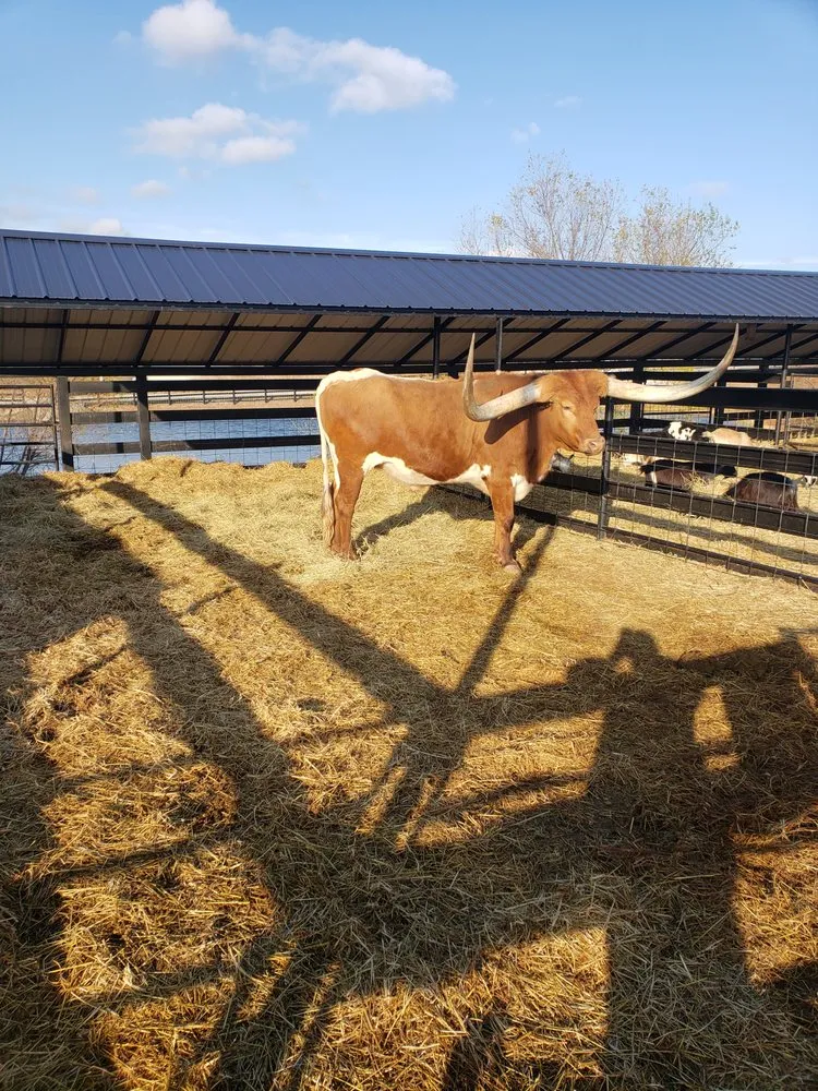 Top-rated residential landscaping experts serving Perry, OK - Aaron Services