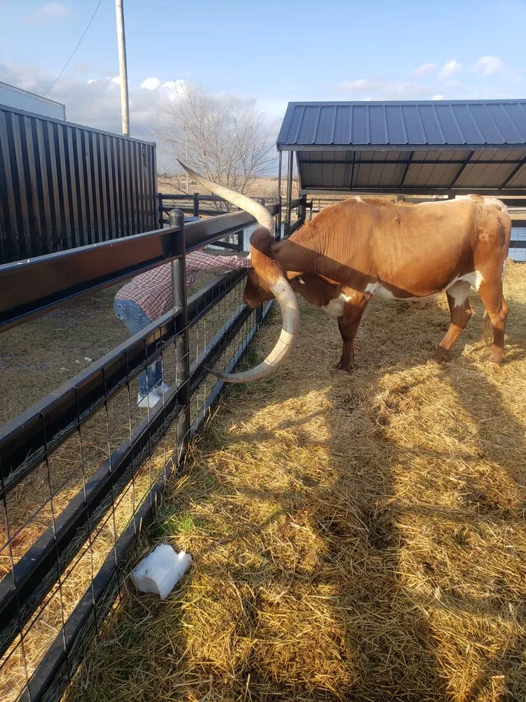 Affordable lawn care service for year-round maintenance across Perry, OK - Aaron Services