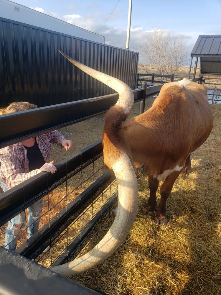 Custom lawn mowing service in Perry, OK - Aaron Services