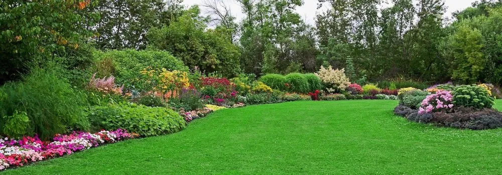 Top-rated garden landscaping near you across Katy, TX - Aaron Tree Services