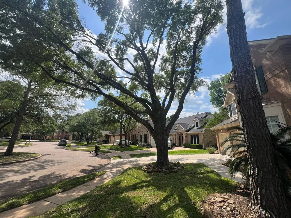 Custom outdoor landscaping with custom design in Katy, TX by Aaron Tree Services