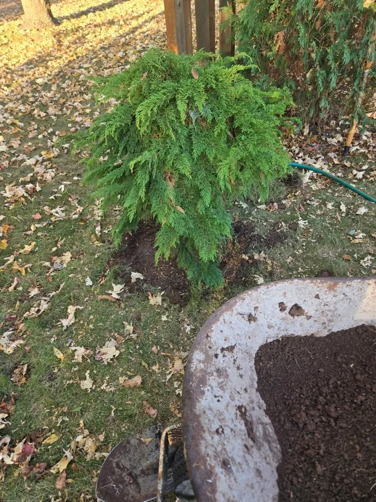 Top-rated garden landscaping experts serving Greenleaf, WI - Aaron Vande Hey