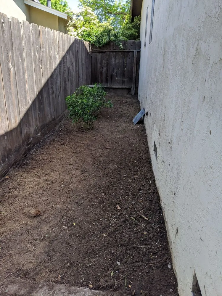 Expert lawn care service in Modesto, CA by Aaron's Clean-Ups