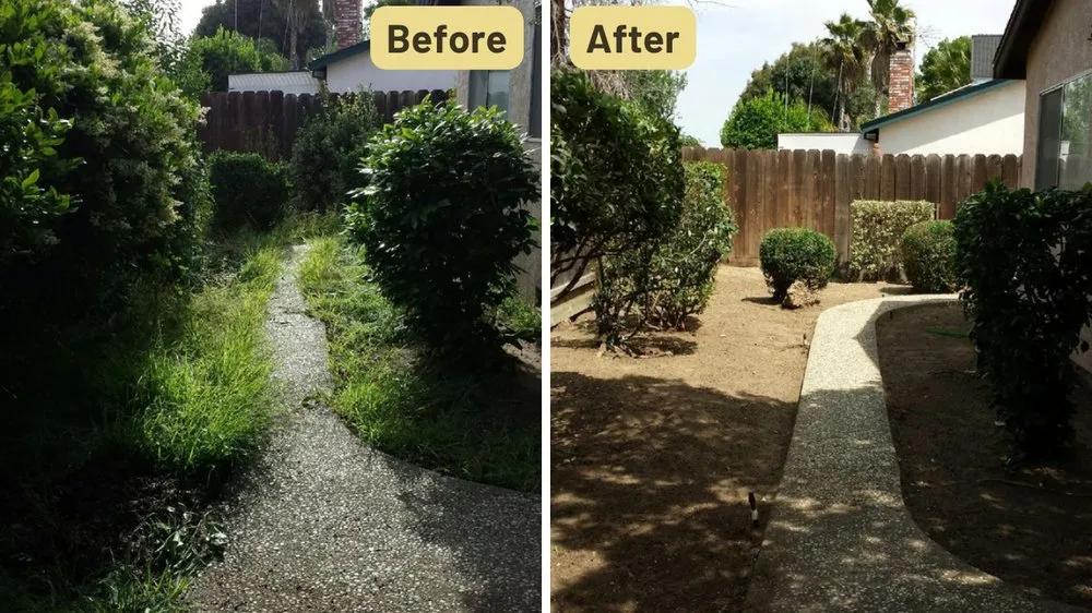 Custom lawn care service in Modesto, CA - Aaron's Clean-Ups