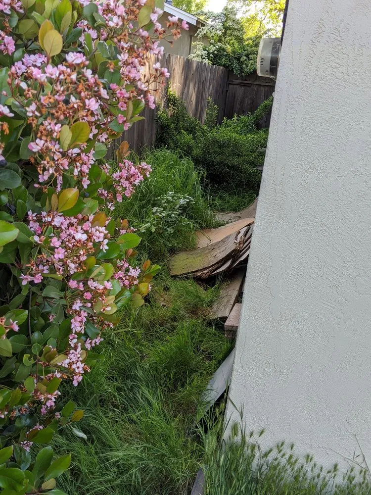Affordable landscape installation in Modesto, CA - Aaron's Clean-Ups