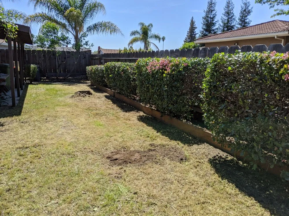 Reliable residential landscaping in Modesto, CA by Aaron's Clean-Ups