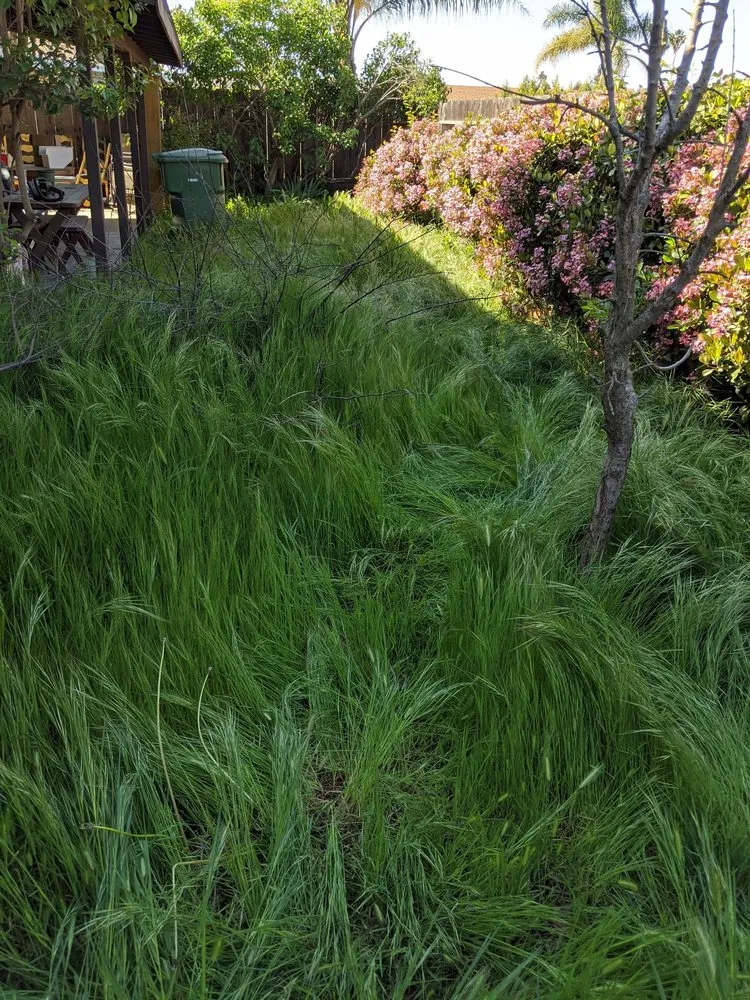 Local landscape installation experts serving Modesto, CA - Aaron's Clean-Ups