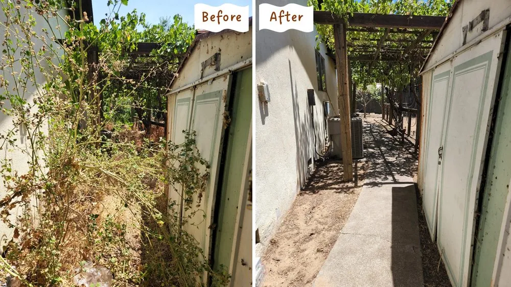 Top-rated yard maintenance for year-round maintenance across Modesto, CA - Aaron's Clean-Ups