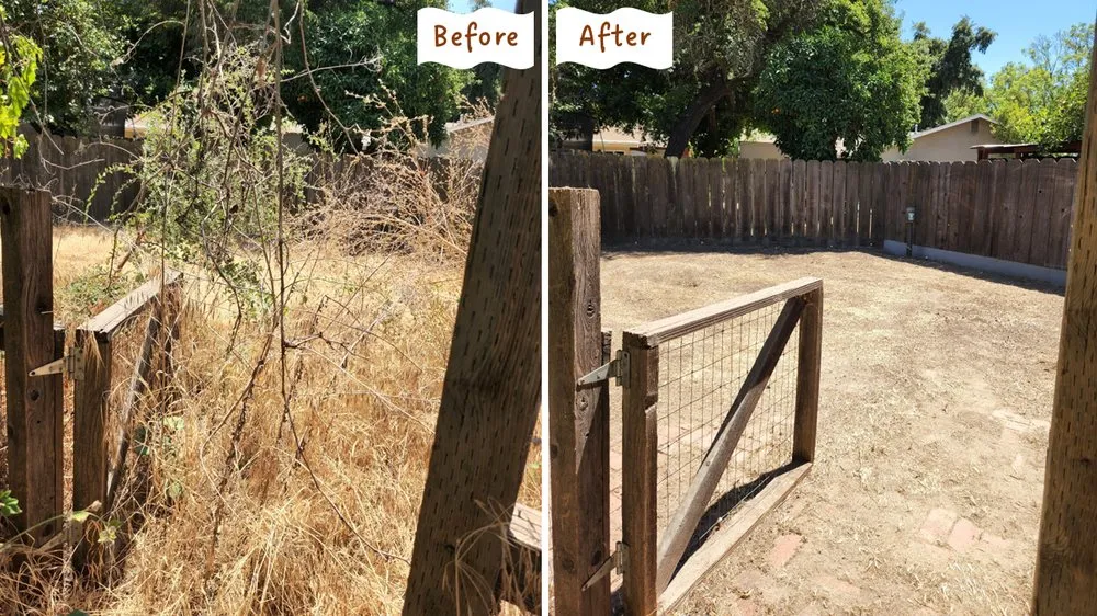 Reliable landscape installation experts serving Modesto, CA - Aaron's Clean-Ups