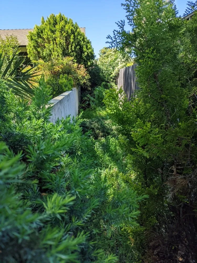 Professional landscape design with custom design across Modesto, CA - Aaron's Clean-Ups