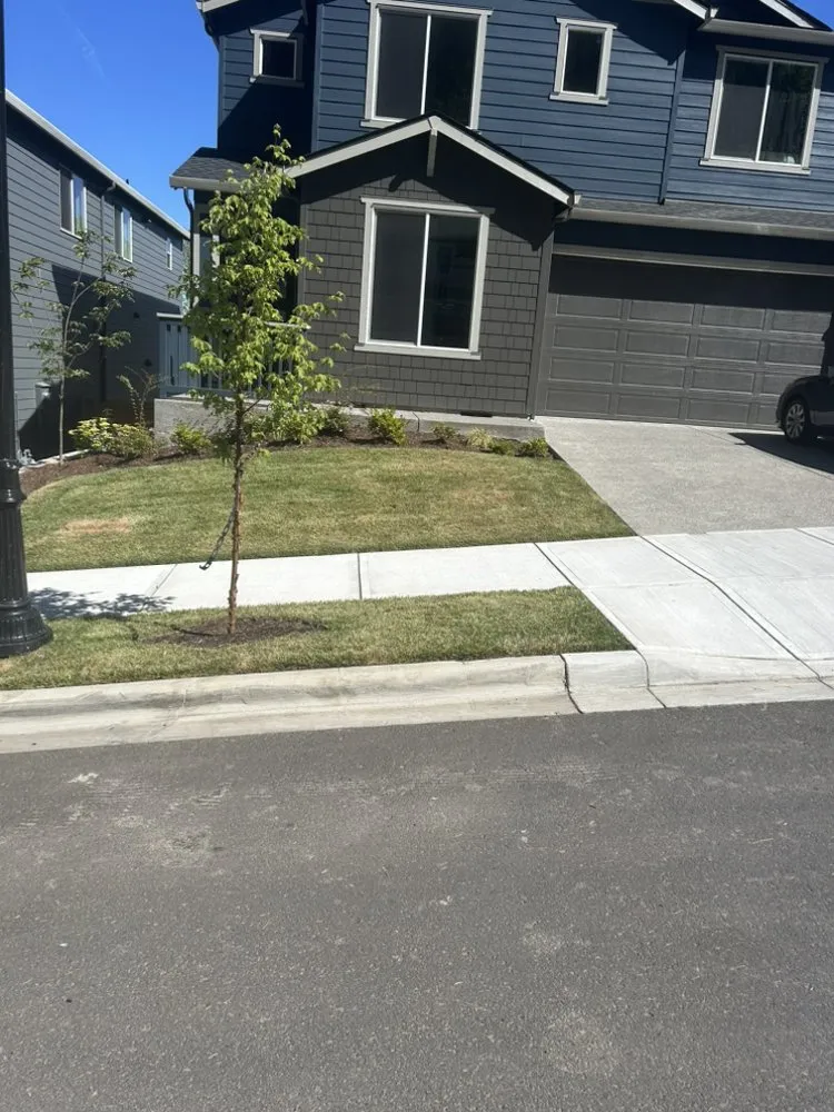 Professional landscape design in Aloha, OR - Aaron’s Green Lawn Care Service