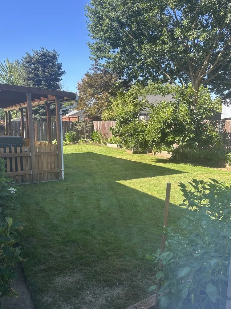 Reliable lawn care service for residential properties in Aloha, OR by Aaron’s Green Lawn Care Service