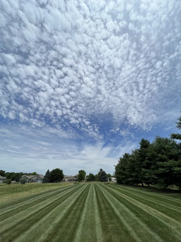 Custom yard maintenance experts serving Edgerton, WI - Aaron’s Groundskeeping