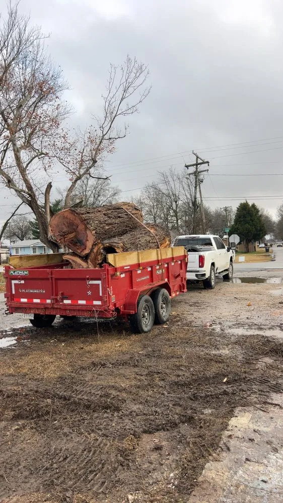 Professional landscaping services for year-round maintenance in Jonesboro, AR by Aarons