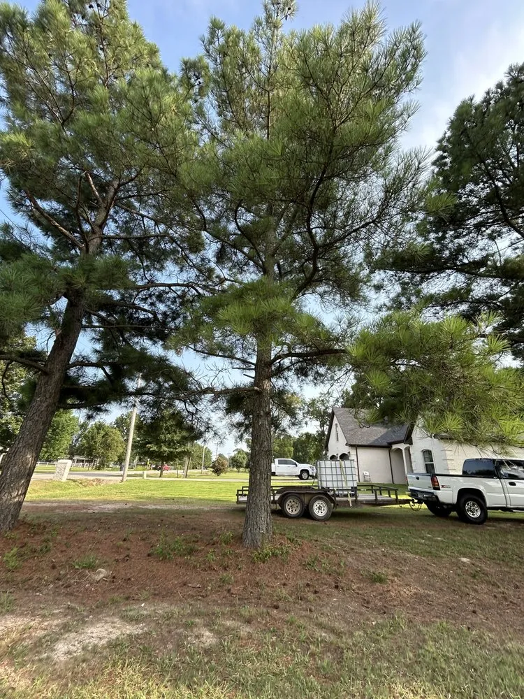 Local yard cleanup service in Jonesboro, AR by Aarons