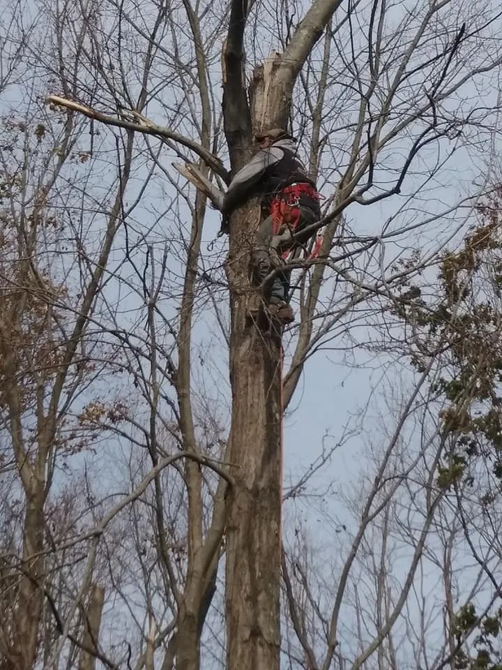 Local yard maintenance in Stratford, CT by AAron's Land Landscaping and Masonry