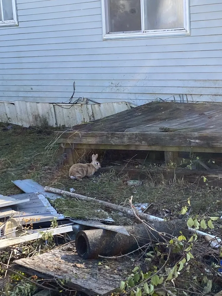 Reliable landscaping services near you across Plymouth, IN - Aaron’s Landscaping & Handyman services