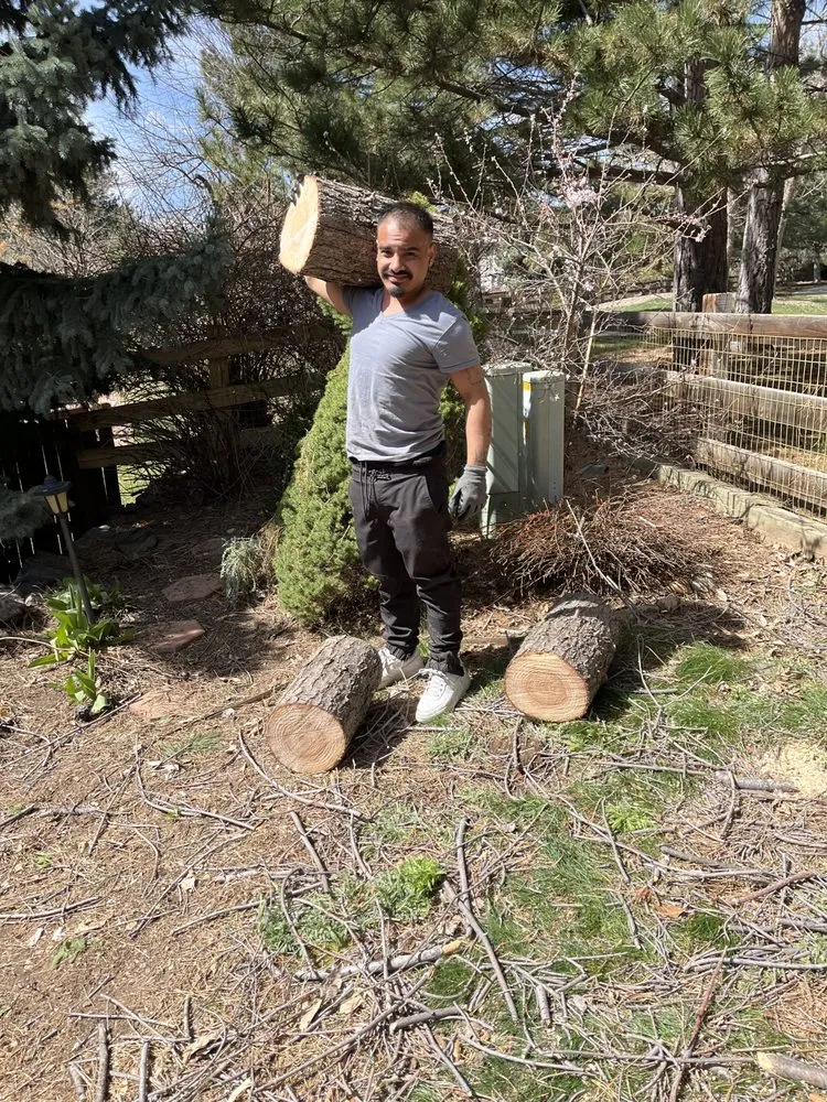 Expert lawn mowing service experts serving Westminster, CO - Aarons Landscaping and Trees