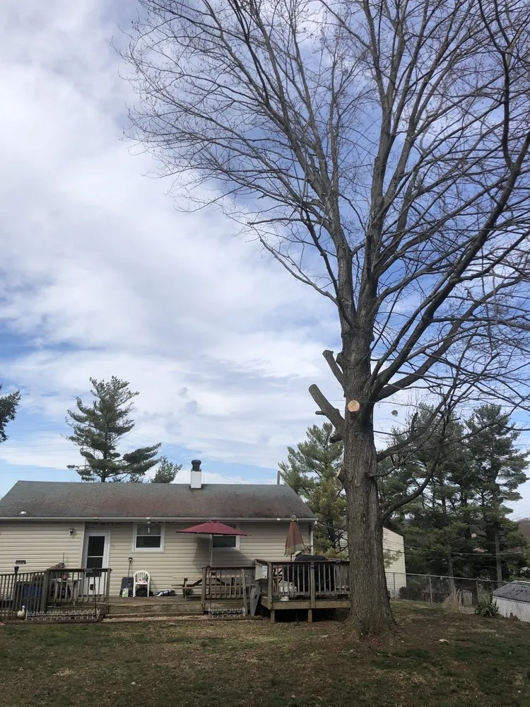 Affordable landscape installation for homes across Owings Mills, MD - Aarons Landscaping