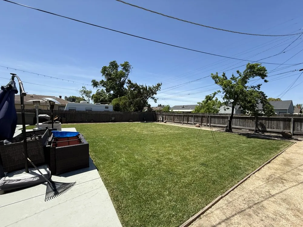 Expert landscaping services for beautiful yards across Stockton, CA - Aaron’s Lawn Care & Universal Services