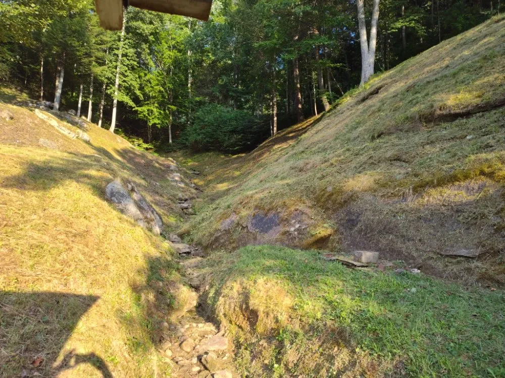 Top-rated residential landscaping experts serving Branchland, WV - Aarons Lawn Care And Handyman Services