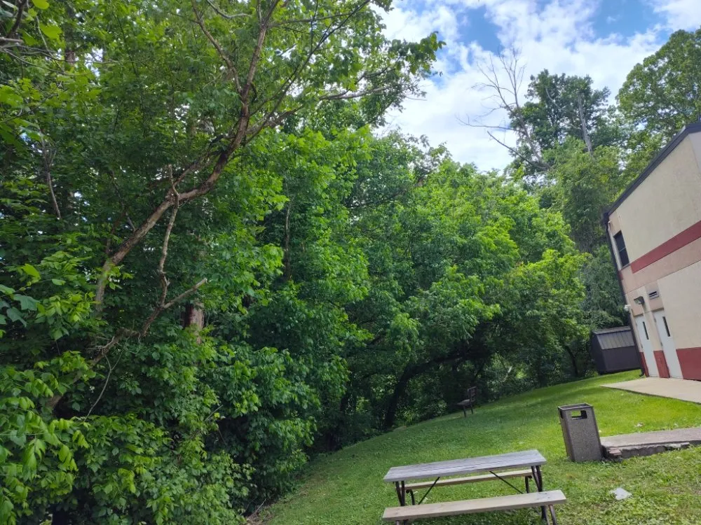 Expert yard cleanup service with custom design in Branchland, WV by Aarons Lawn Care And Handyman Services