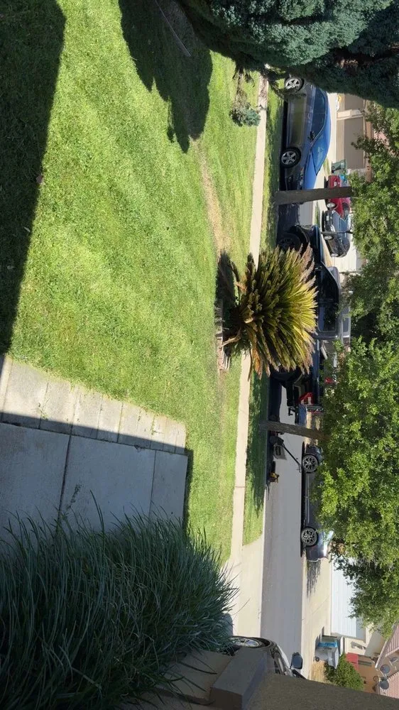 Trusted garden landscaping in Lincoln, CA by Aarons Lawn Care and Junk Removal