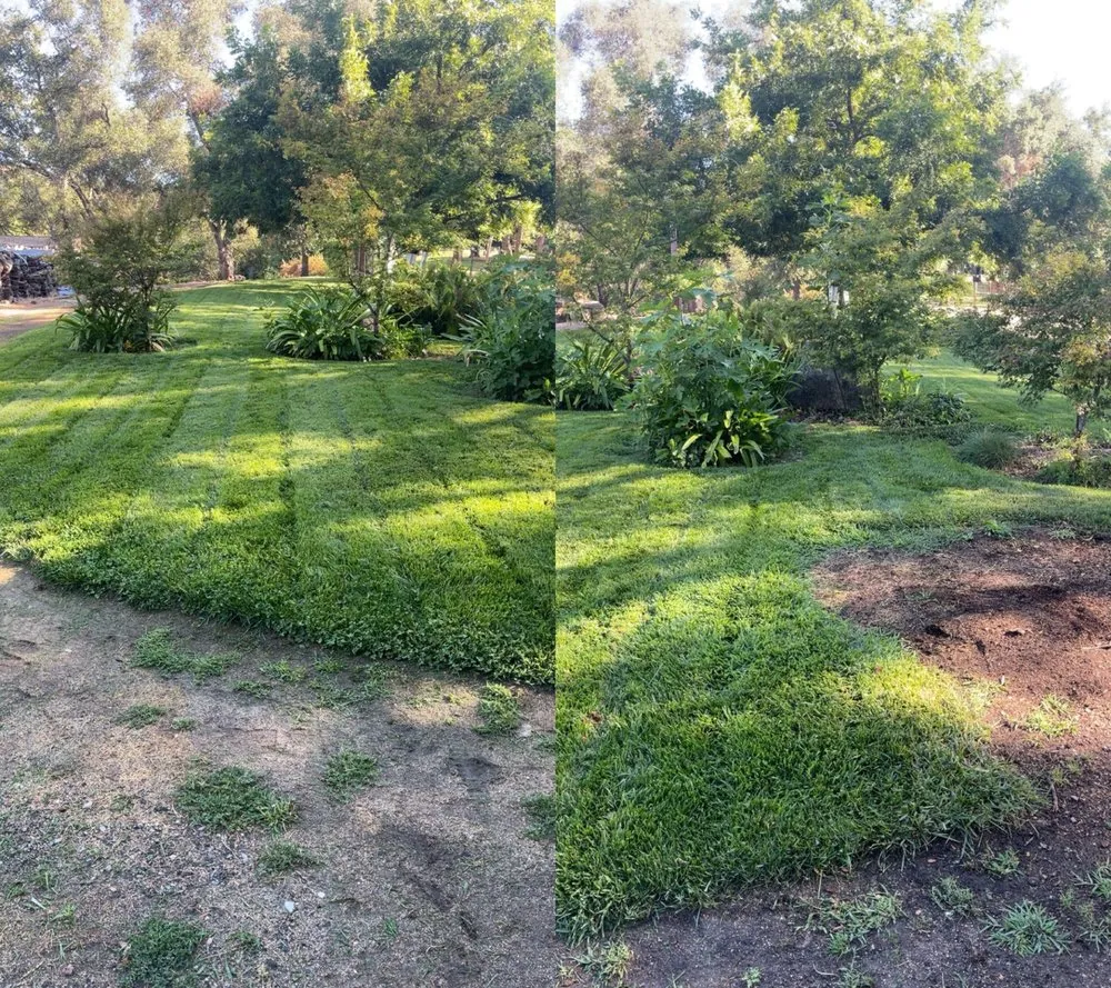 Custom landscaping services in Lincoln, CA - Aarons Lawn Care and Junk Removal