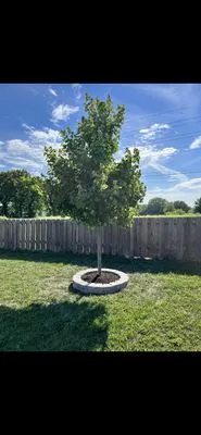 Aaron’s Lawn Care and Landscape