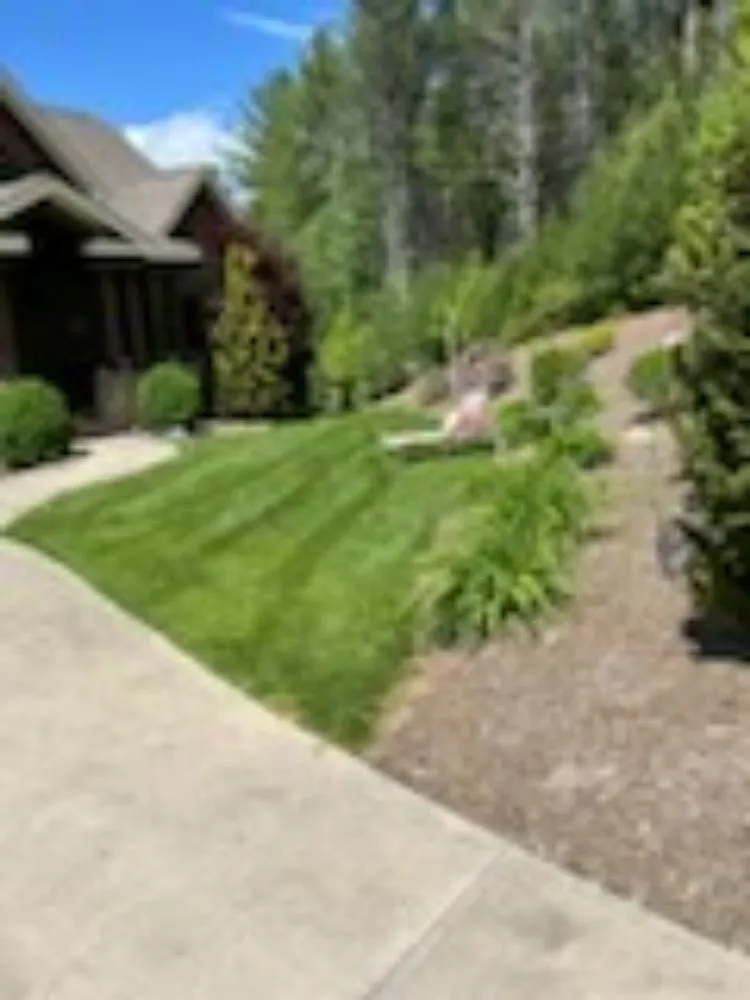 Expert yard cleanup service in Lenoir, NC by Aaron's lawn Care