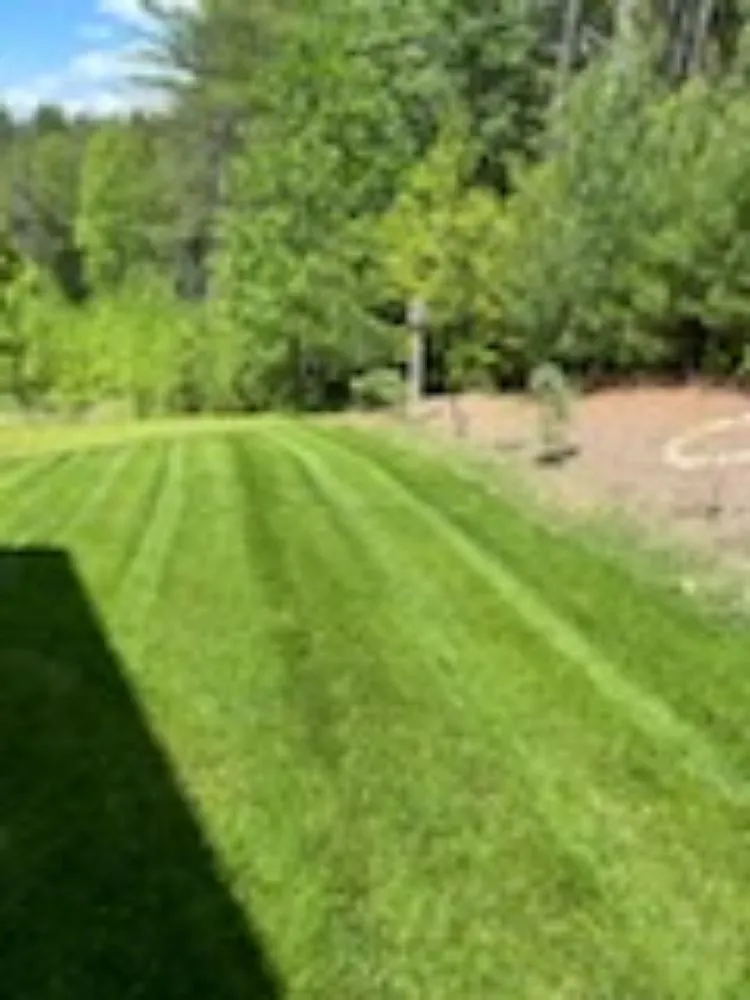 Professional yard cleanup service experts serving Lenoir, NC - Aaron's lawn Care