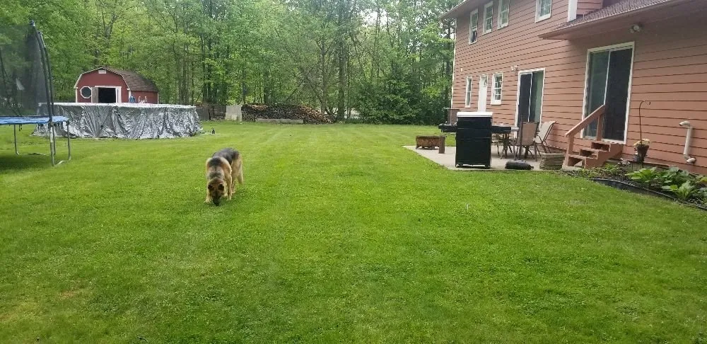 Professional lawn mowing service in Olmsted Falls, OH by Aarons Lawn Care