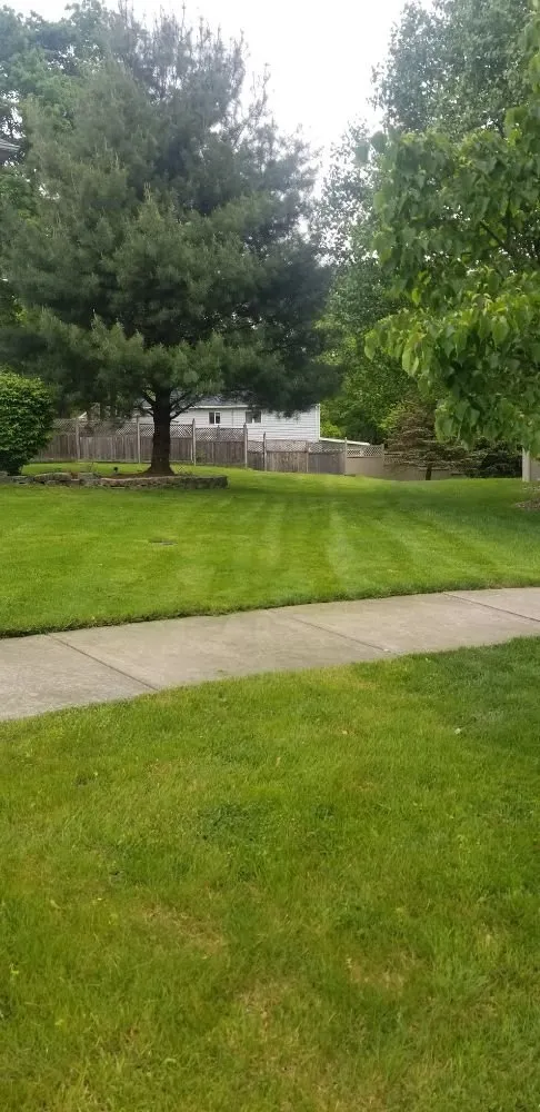 Trusted yard maintenance in Olmsted Falls, OH - Aarons Lawn Care