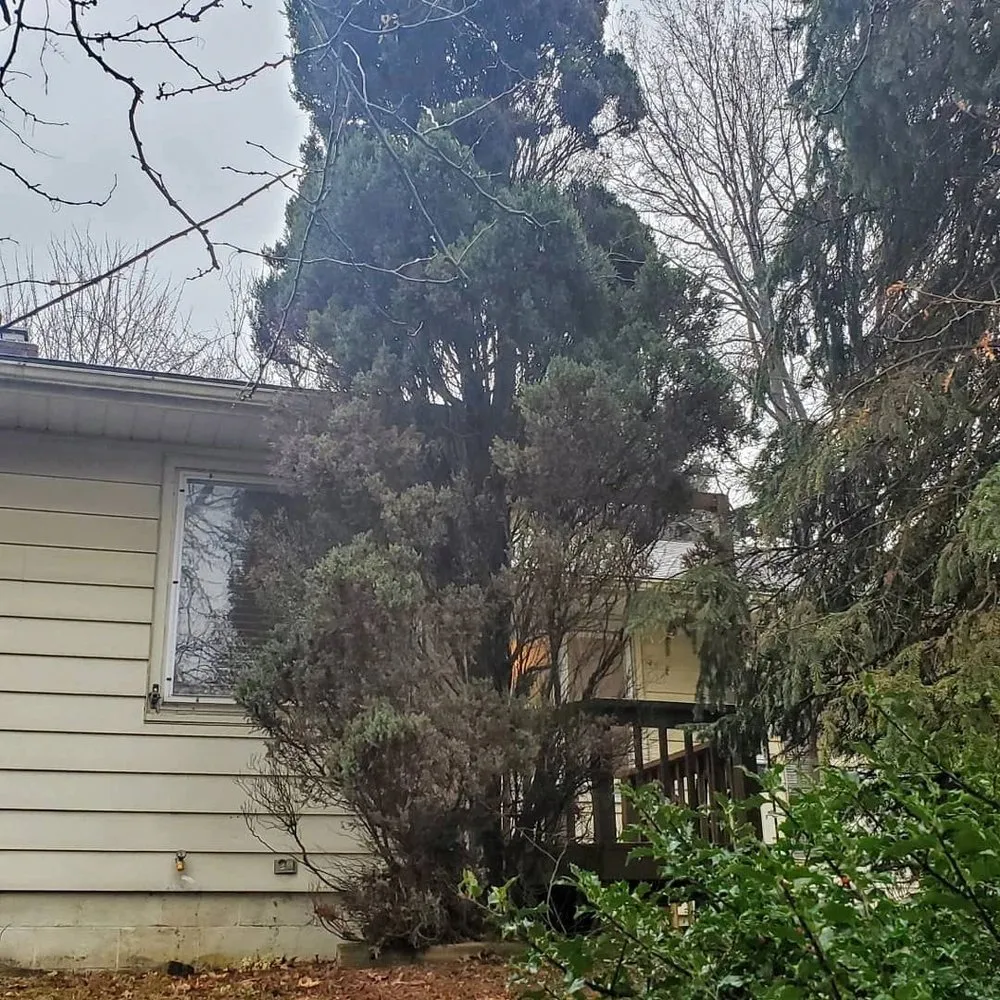 Trusted yard maintenance for homes across Olmsted Falls, OH - Aarons Lawn Care