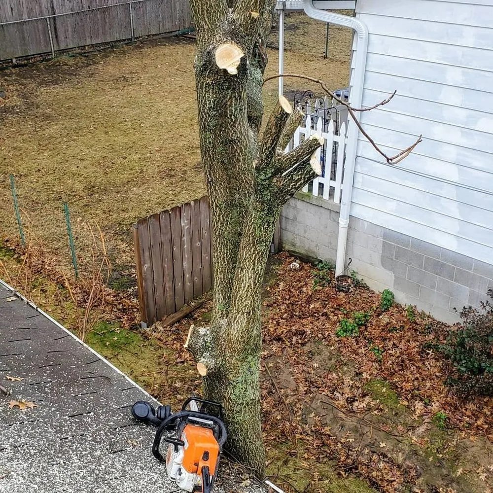 Affordable lawn mowing service near you across Olmsted Falls, OH - Aarons Lawn Care