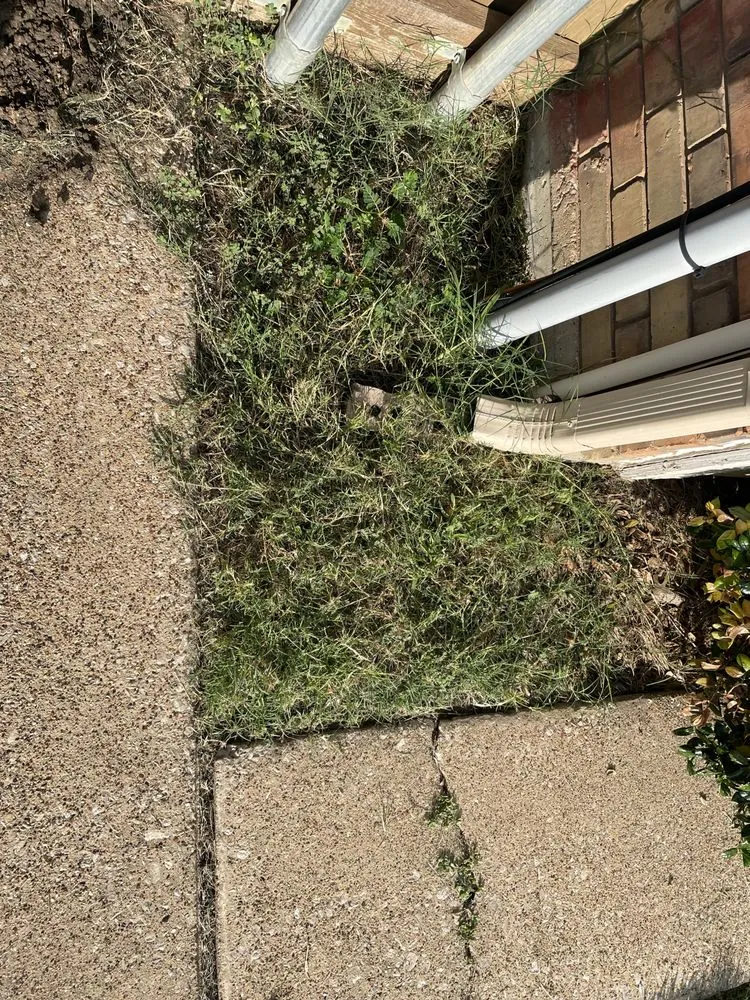 Affordable landscape installation for year-round maintenance in Plano, TX by Aarons Lawn Care