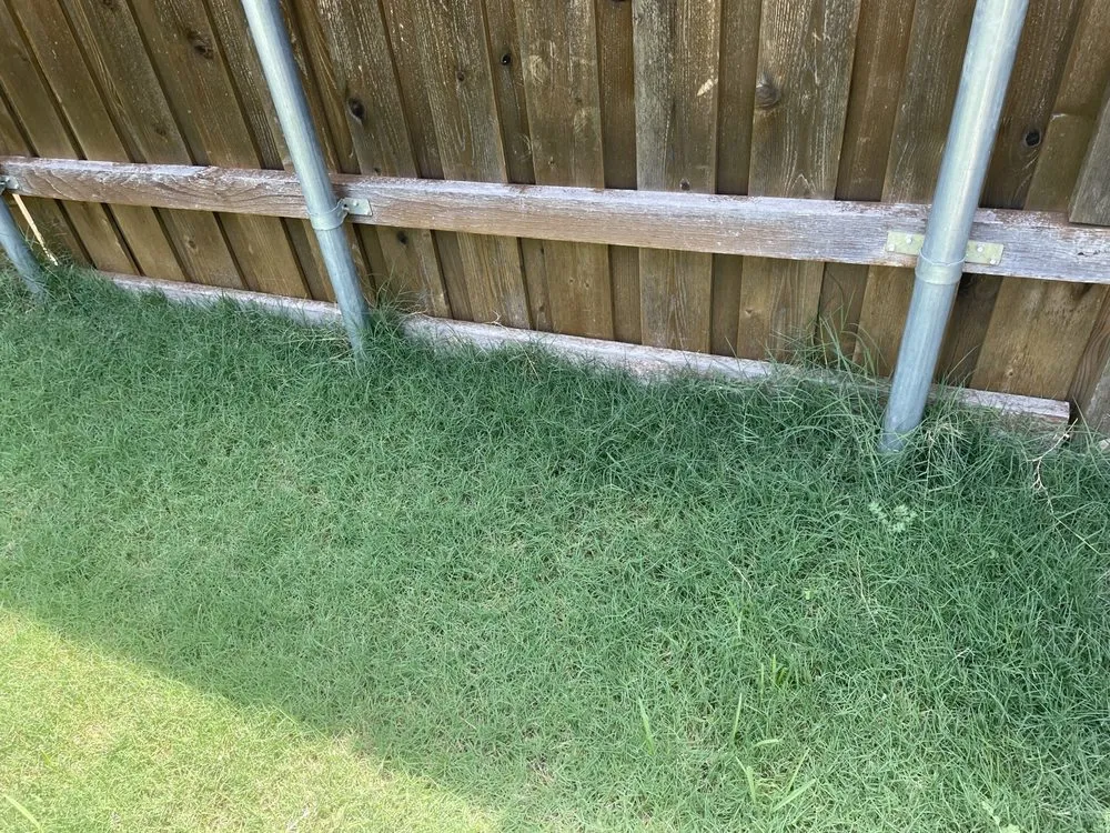 Local yard maintenance with custom design in Plano, TX by Aarons Lawn Care