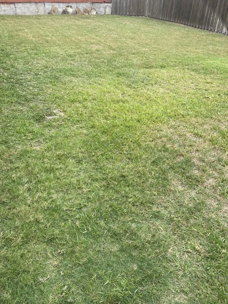 Expert landscape installation in Plano, TX by Aarons Lawn Care