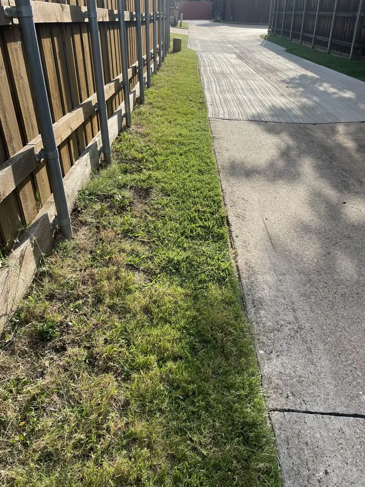 Professional landscaping services in Plano, TX by Aarons Lawn Care