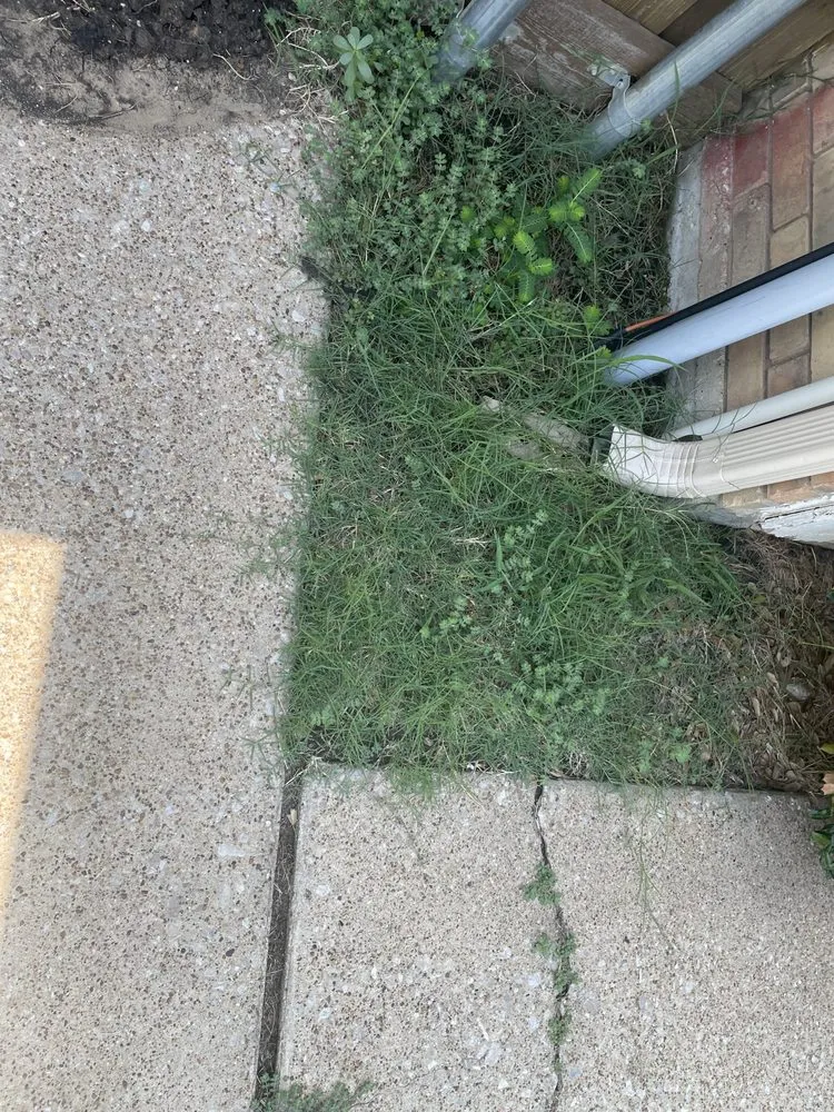 Trusted landscape installation in Plano, TX by Aarons Lawn Care