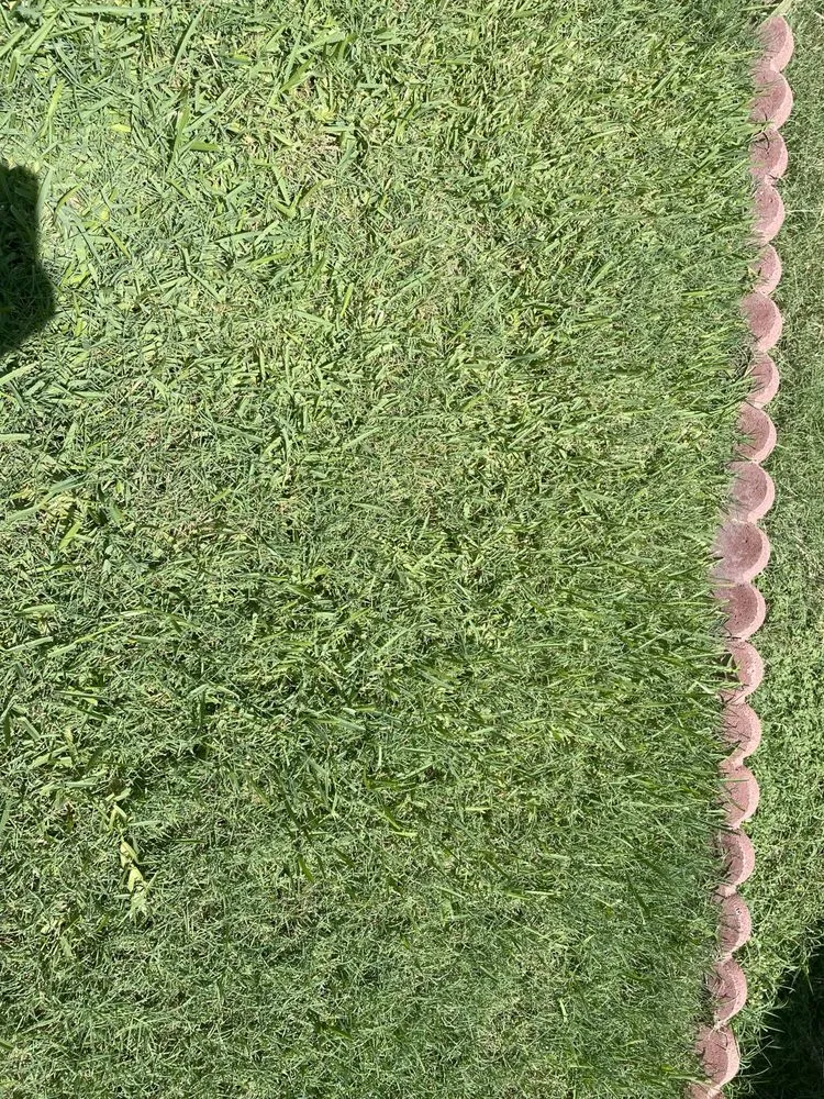 Trusted lawn care service near you across Plano, TX - Aarons Lawn Care