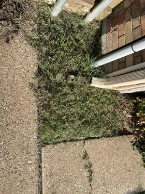 Aarons Lawn Care Logo