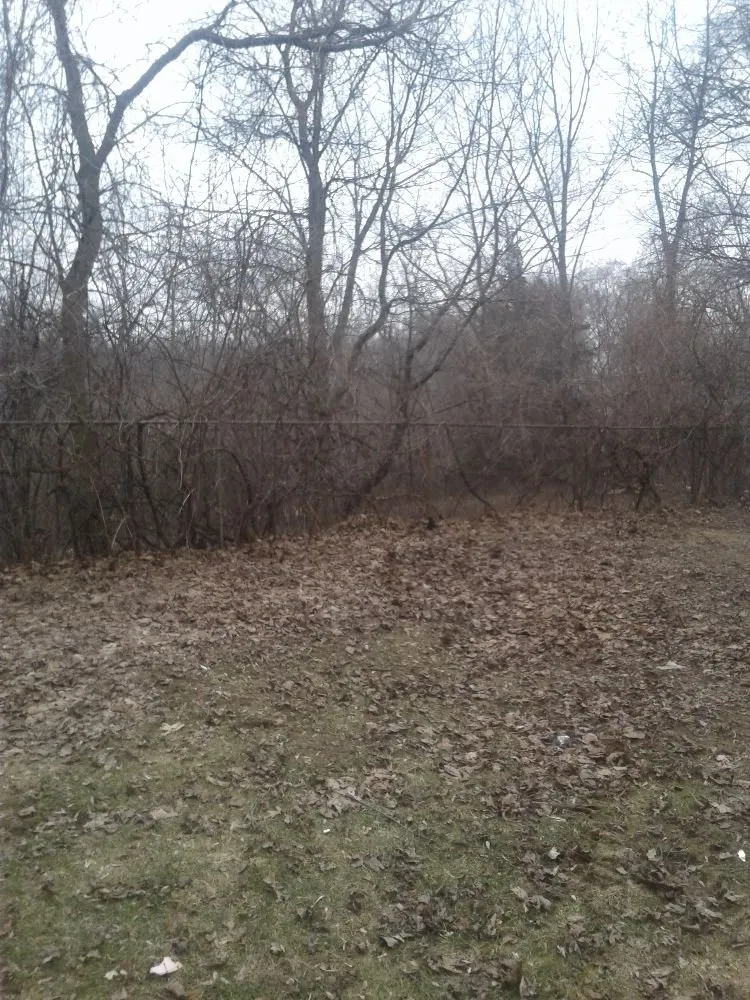 Professional landscaping services with custom design across Waterford Township, MI - Aaron's lawn care