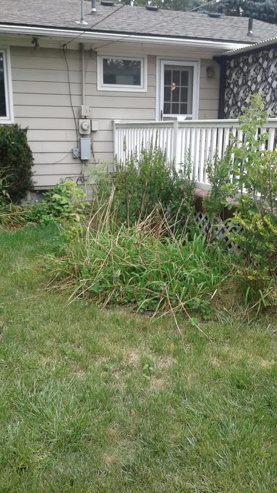 Expert landscape design in Waterford Township, MI - Aaron's lawn care