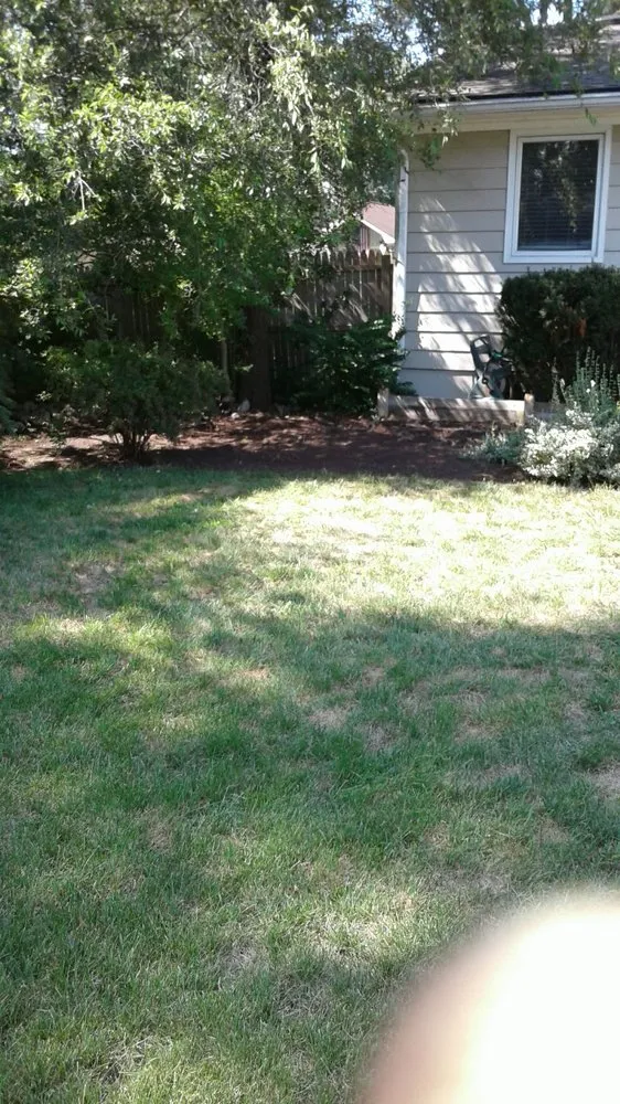 Affordable landscaping services near you in Waterford Township, MI by Aaron's lawn care