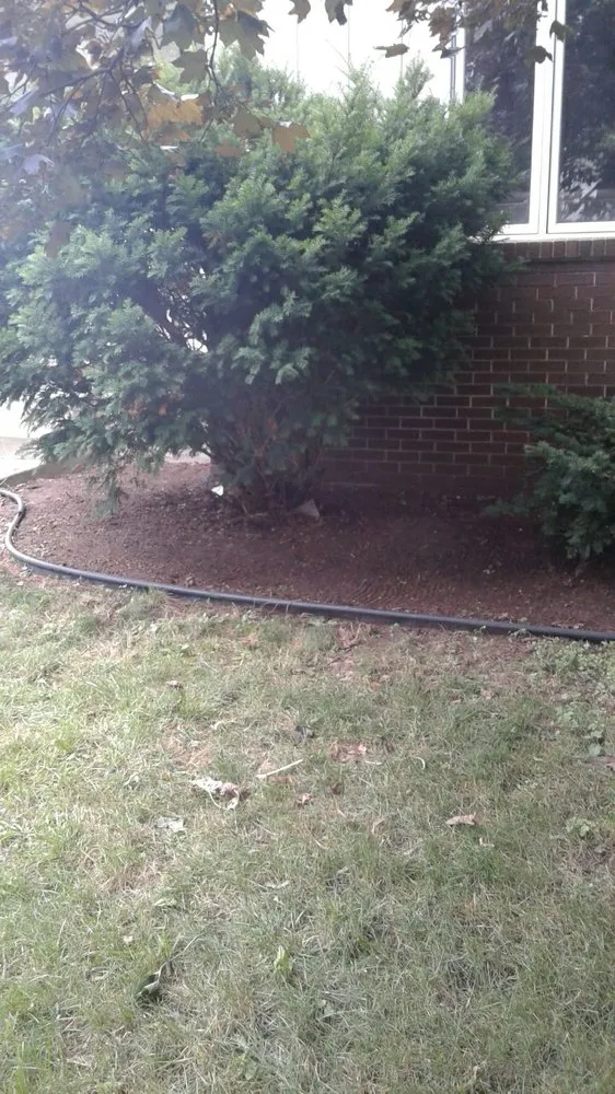 Affordable yard cleanup service in Waterford Township, MI by Aaron's lawn care