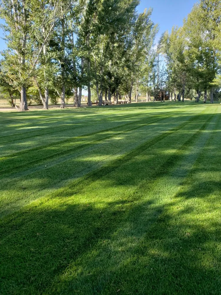 Custom garden landscaping for year-round maintenance across Greeley, CO - Aarons Lawn Service