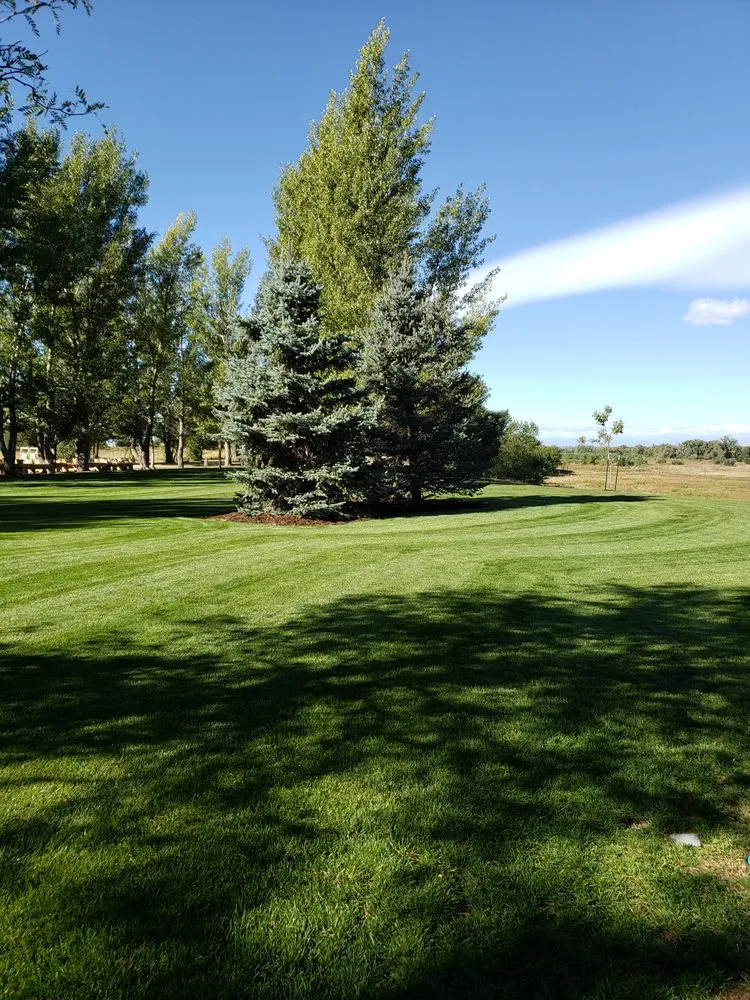 Custom landscape design for beautiful yards in Greeley, CO by Aarons Lawn Service