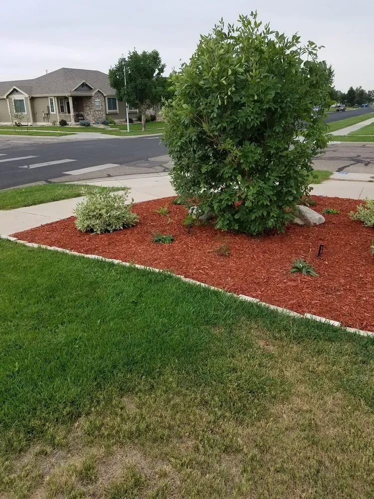 Trusted lawn care service for residential properties across Greeley, CO - Aarons Lawn Service